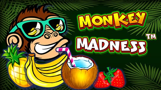 Slot Monkey Madness