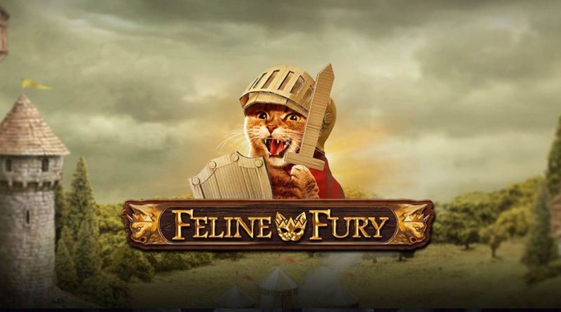 Slot Feline Fury